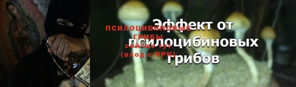 mix Белокуриха