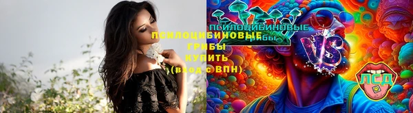 синтетический гашиш Богданович